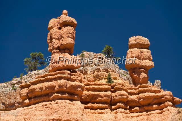 etats unis ouest 26.JPG - Capitol Reef - Red CanyonUtah, Etats-Unis